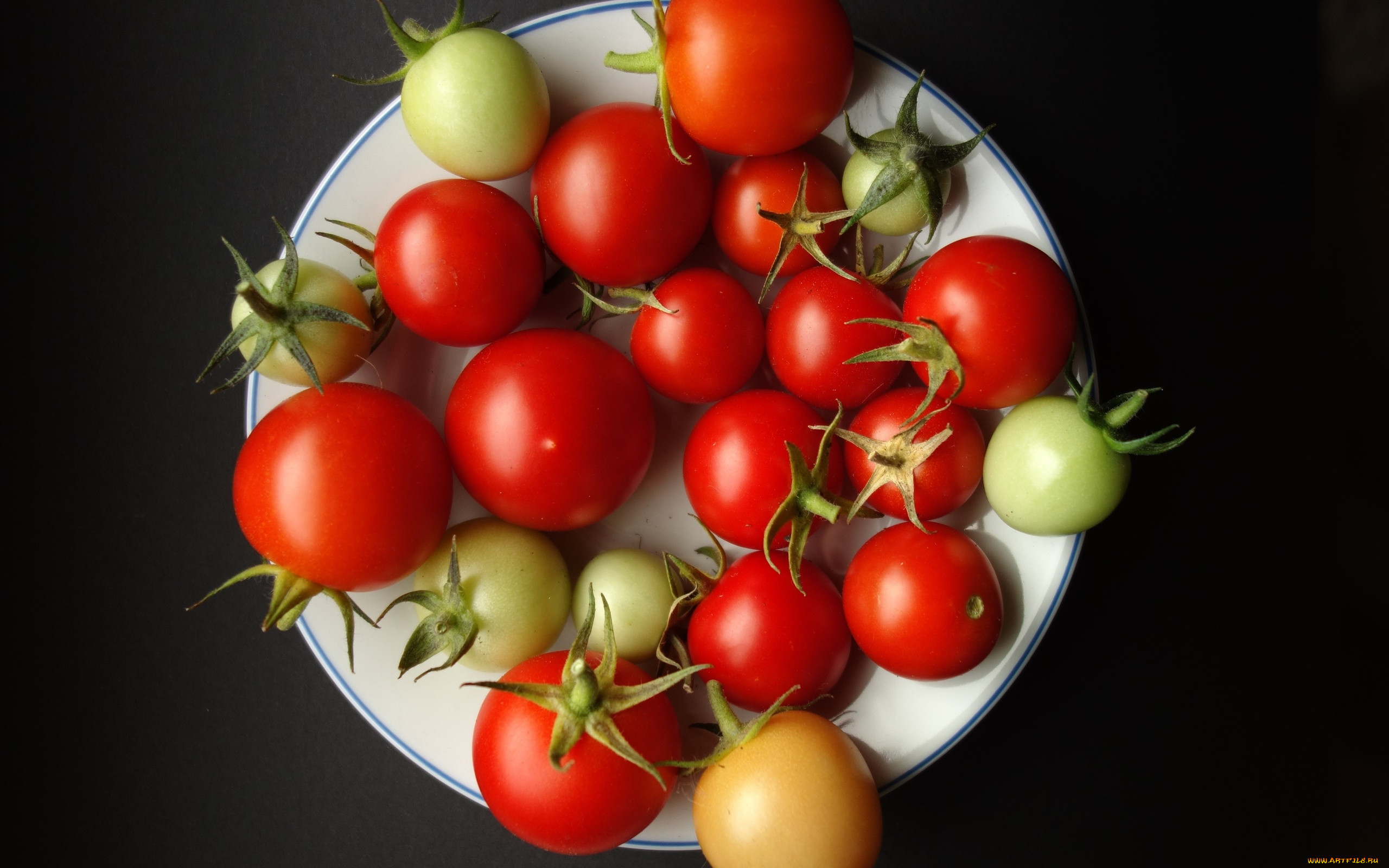 ���, ��������, �������, ������